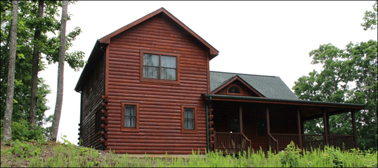 Professional Log Home Borate Application  Johnson County, Georgia